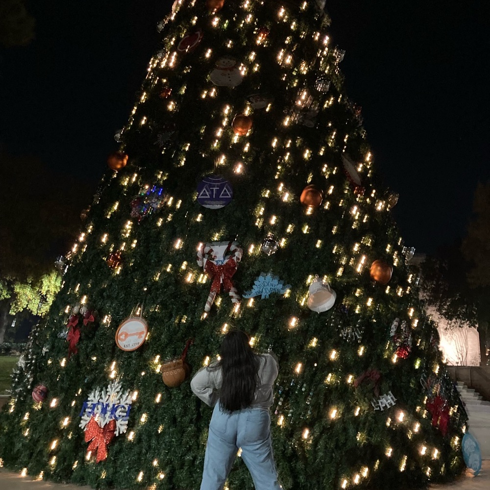 Meet your Posher, Rosa